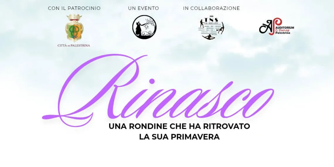 Rinasco - Una rondine che torna a volare